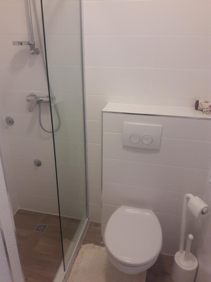 Roza Guest House Сень Экстерьер фото